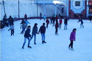 Ice Skating Carnival