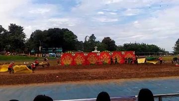 Megayon Festival