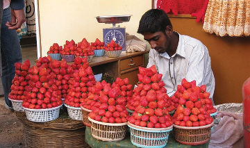 Strawberry Festival In Meghalaya