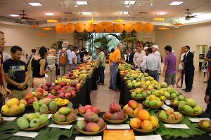 Delhi International Mango Festival
