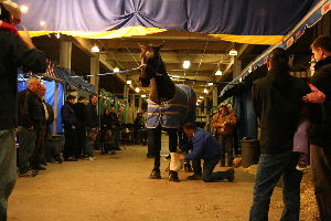 Royal Agricultural Winter Fair