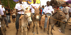 Lamu Cultural Festival