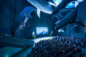 San Francisco Ocean Film Festival