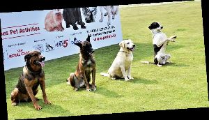 India Pet Expo