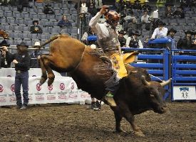 Canadian Western Agribition