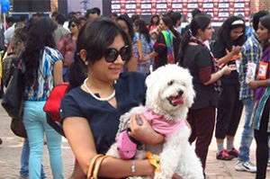 Pet Fed Mumbai