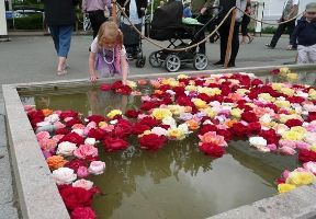 Rose Festival