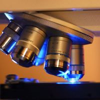 Corporate Training Design Patterns Professional Certification Program