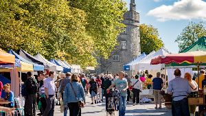 The Kilkenny Rhythm And Roots Festival