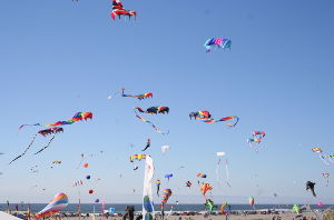 Saint Ann Kite Festival