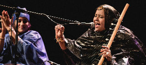 Brave Festival