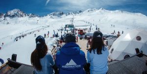 Hibernation Festival