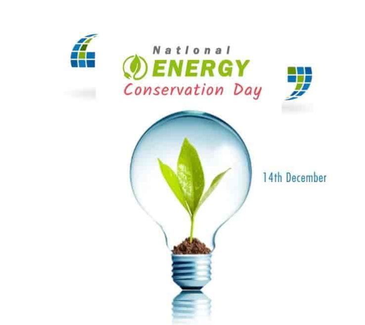 National Energy Conservation Day 2023 in India, photos, Carnival when