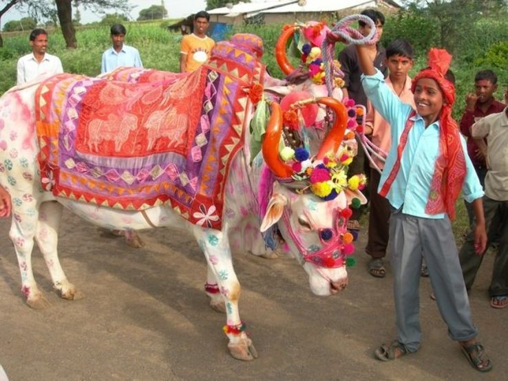 Pola Festival 2024, - Venue, Date & Photos