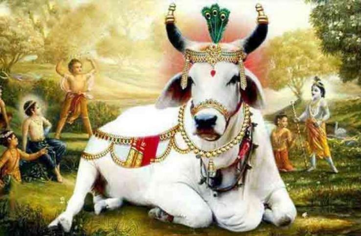 Pichwai-Gopashtami-Srinathji with Cows - WallCurry