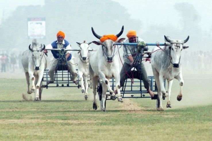 Kila Raipur Sports Festival