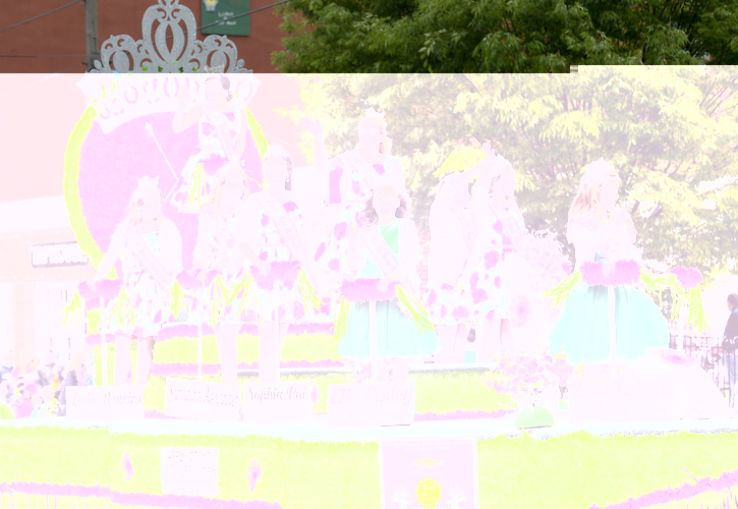Shenandoah Apple Blossom Festival 19 In United States Of America Photos Fair Festival When Is Shenandoah Apple Blossom Festival 19 Hellotravel