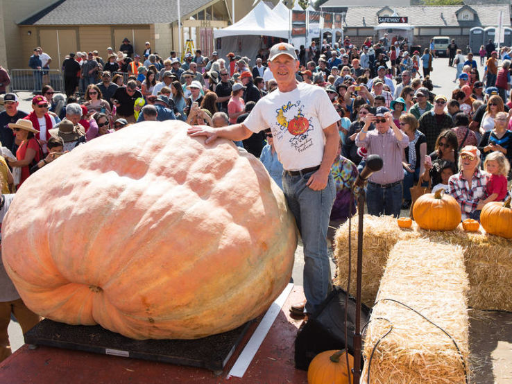 Half Moon Bay Art and Pumpkin Festival 2025, United States Of America