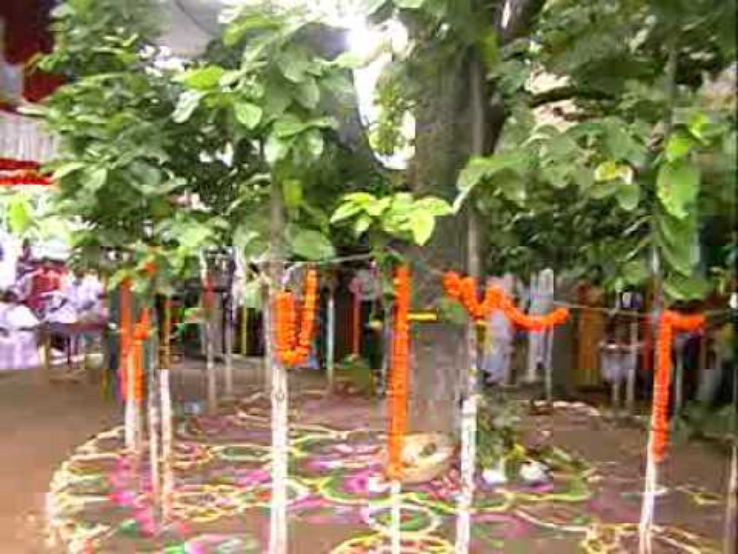 Karma festival 2025, India Venue, Date & Photos