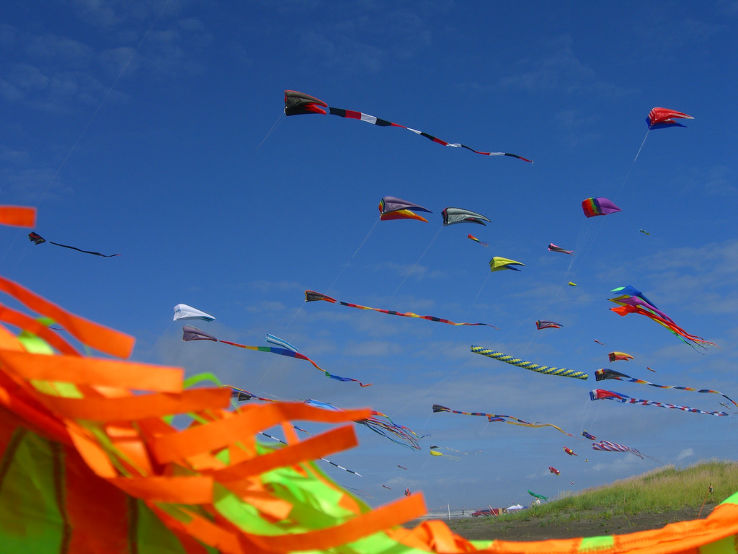 International Kite Festival 2025, Venue, Date & Photos