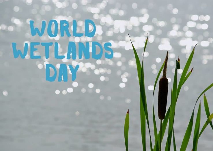World Wetlands Day 2025, Venue, Date & Photos