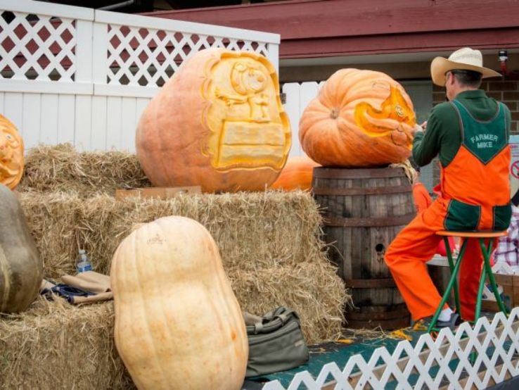 Half Moon Bay Art and Pumpkin Festival 2025, United States Of America