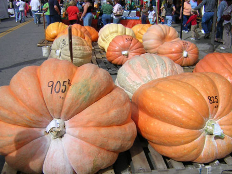 Barnesville Pumpkin Festival 2025, United States Of America Venue, Date & Photos