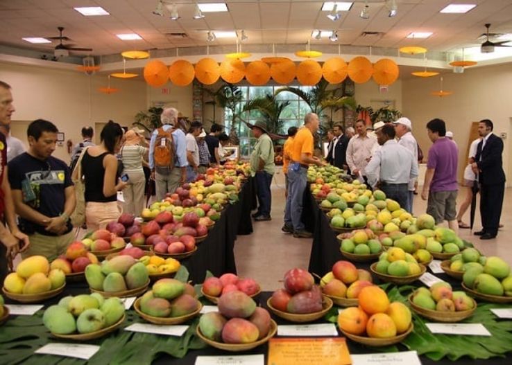 The Mango Festival 2023, India Venue, Date & Photos
