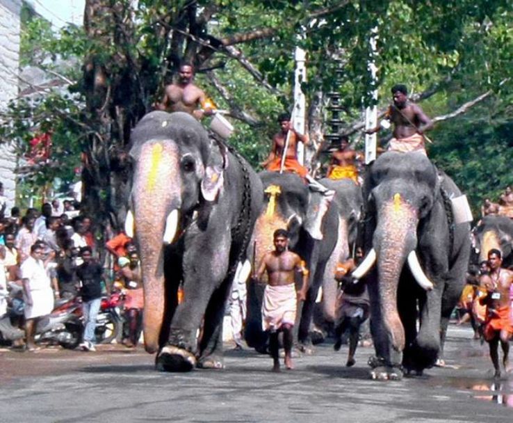 Guruvayur Aanayottam 2025 Guruvayur Sree Krishna Temple, India Venue