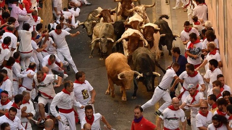 The Running of the Bulls, San Fermin Festival 2024