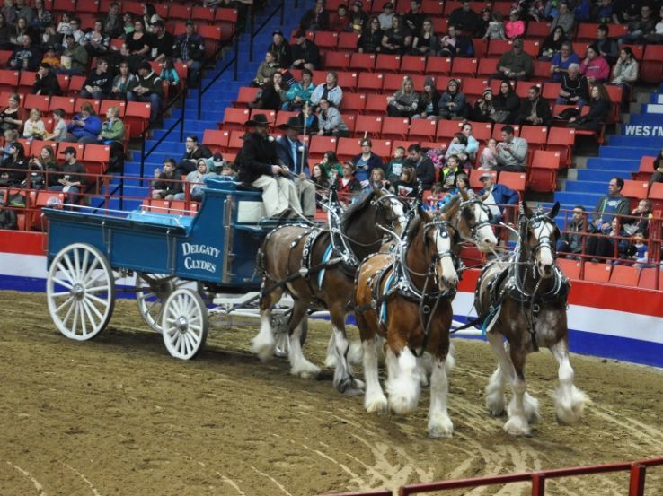 Royal Manitoba Winter Fair 2025, Canada Venue, Date & Photos