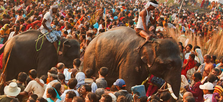 Sonepur Mela 2019 in India, photos, Festival, Religion, Fair when is Sonepur  Mela 2019 - HelloTravel