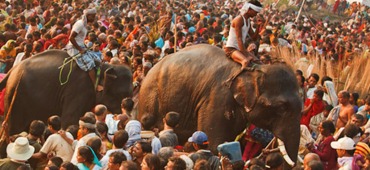Sonepur Mela 2019 in India, photos, Festival, Religion, Fair when is Sonepur Mela 2019 - HelloTravel