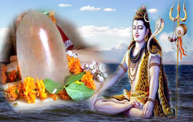 mahashivratri 2019 in photos