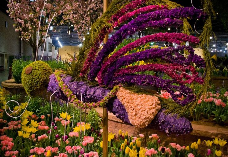 Philadelphia Flower Show 2020 in United States Of America, photos, Fair