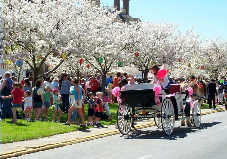 International Cherry Blossom Festival 2020 in United States Of America