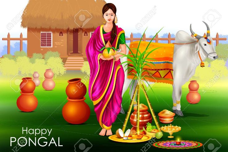pongal-festivals
