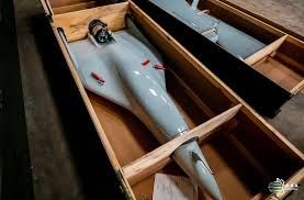 India Buys Belarus-Made Berkut-BM Attack Drones