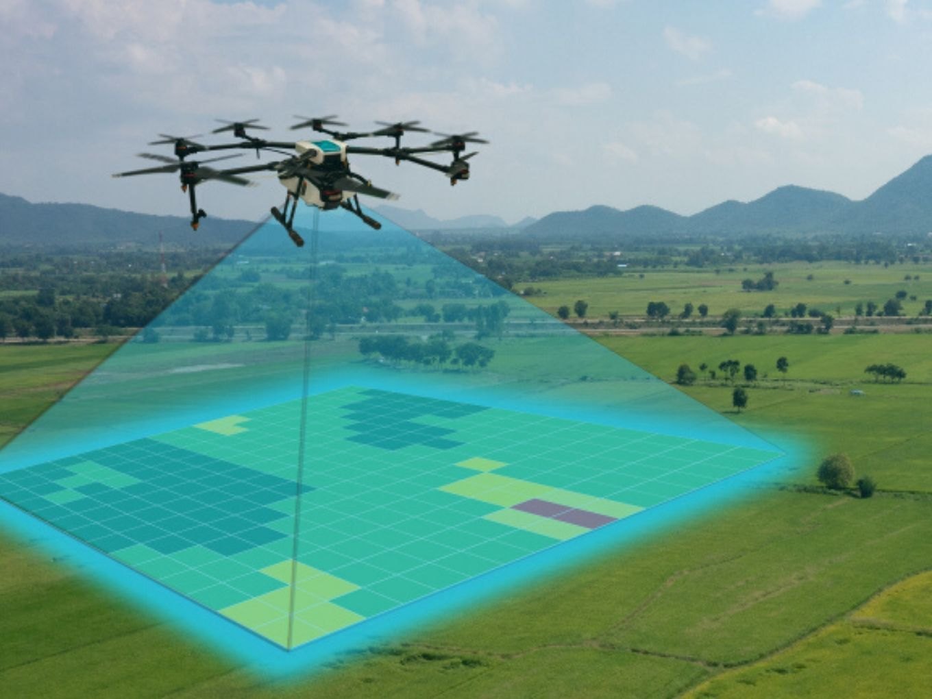 Land Survey