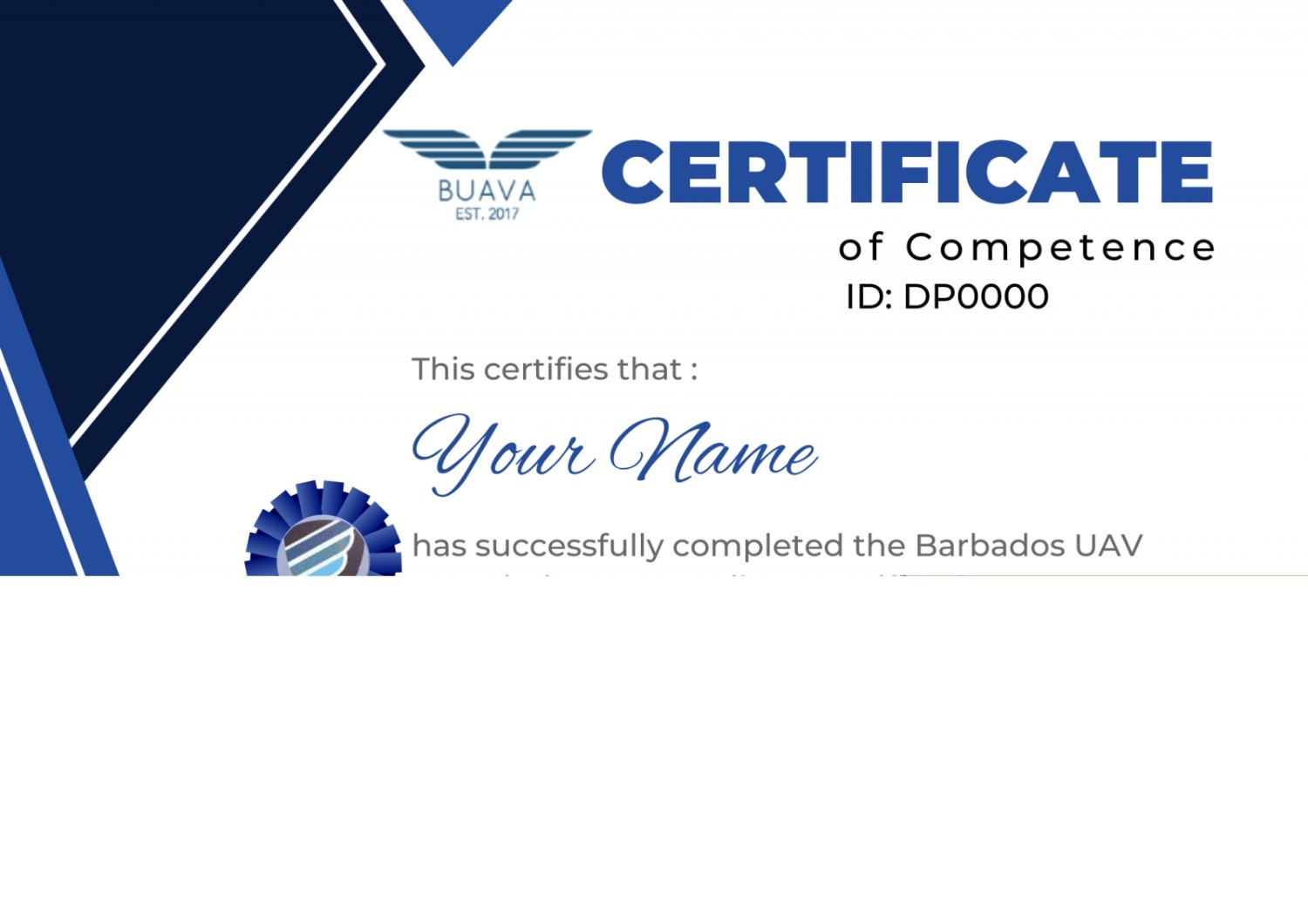 Getting a Drone Pilot Certification - image 1