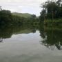Periyar Woods