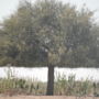 Gajanand Guest House