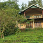 Tea Garden Holiday Home