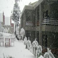 2 Days 1 Night Kanatal Tour Package by Tripigo.in