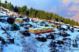3 Days 2 Nights Auli Tour Package by Tripigo.in