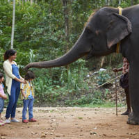 3N MUNNAR - 1N THEKKADY - 1N ALLEPPEY - 1N COCHIN