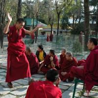 Spring Valley Resorts, Dharamshala-birr-billing-Palampur 4 nights 05 days tour Package