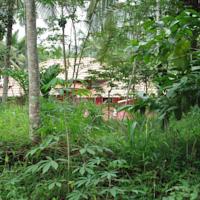 Adventure Tour Package for 3 Days 2 Nights