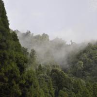 05 Days Gangtok with Lachung Package