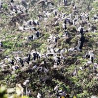 ODISHA WILDLIFE TOUR WITH TEMPLES BY VINAYAK TRAVELS PVT LTD
